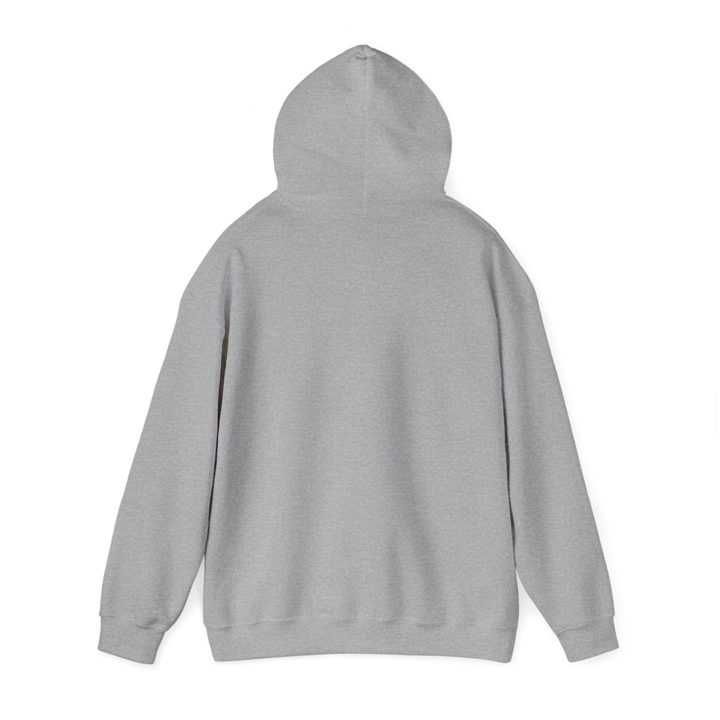 You’ve Got This hoodie | messy script design, hand lettering sweatshirt