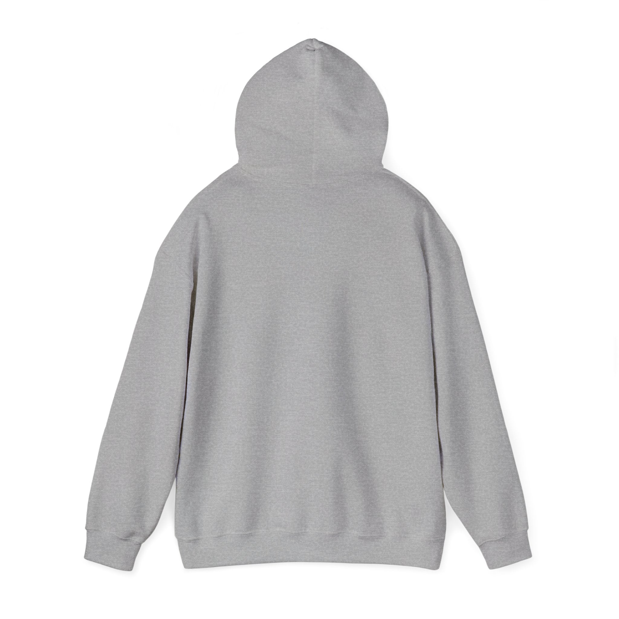 You’ve Got This hoodie | messy script design, hand lettering sweatshirt