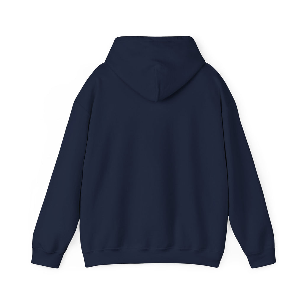 You’ve Got This hoodie | messy script design, hand lettering sweatshirt