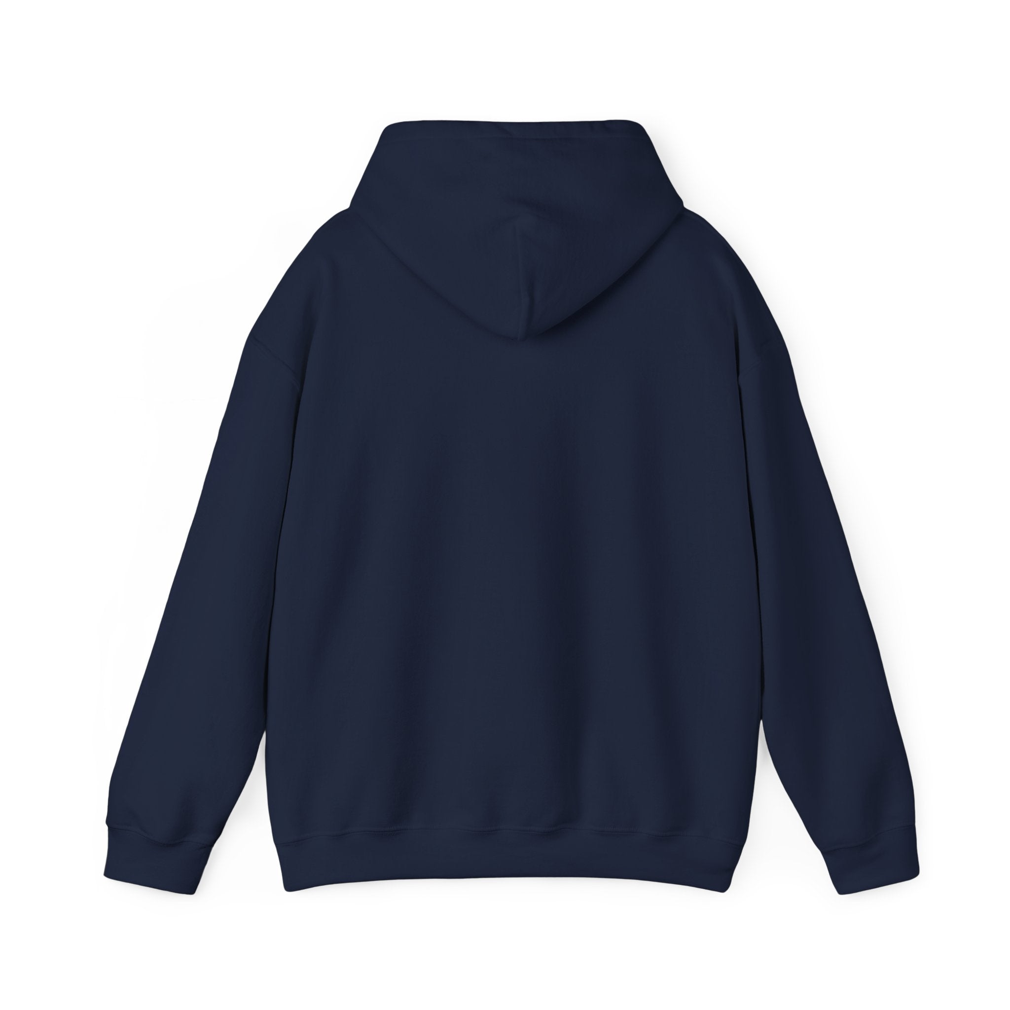 You’ve Got This hoodie | messy script design, hand lettering sweatshirt