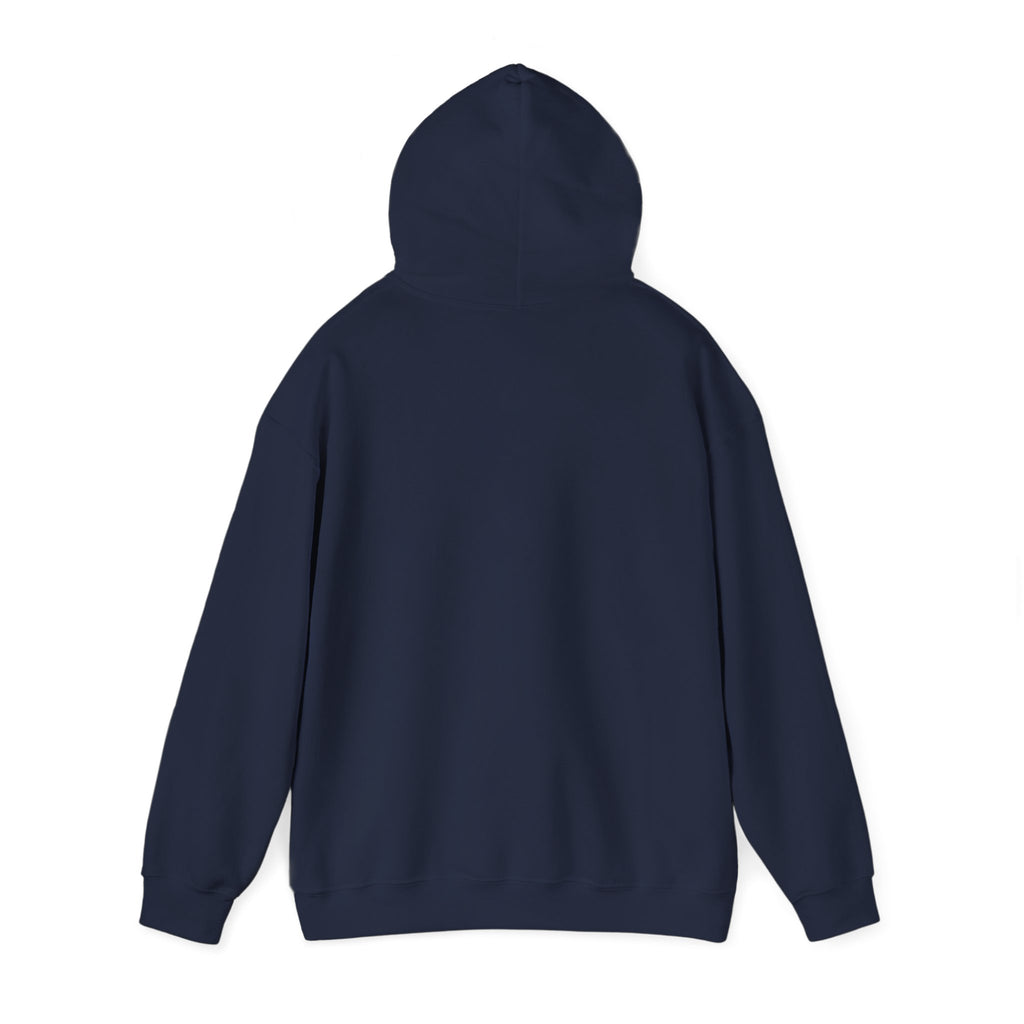 You’ve Got This hoodie | messy script design, hand lettering sweatshirt