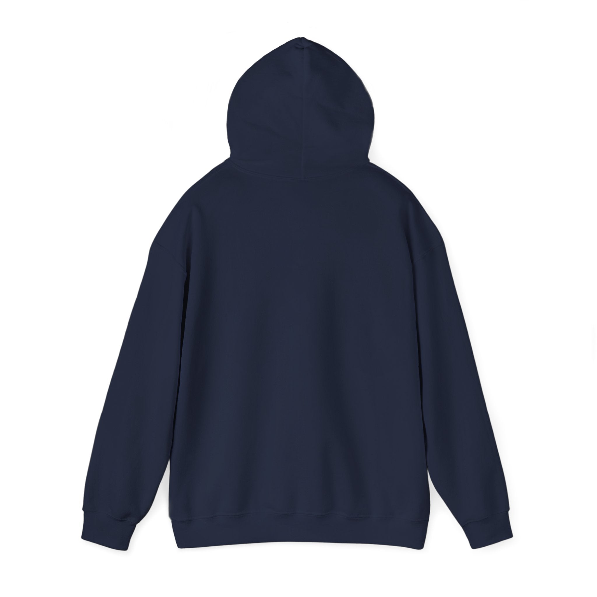 You’ve Got This hoodie | messy script design, hand lettering sweatshirt