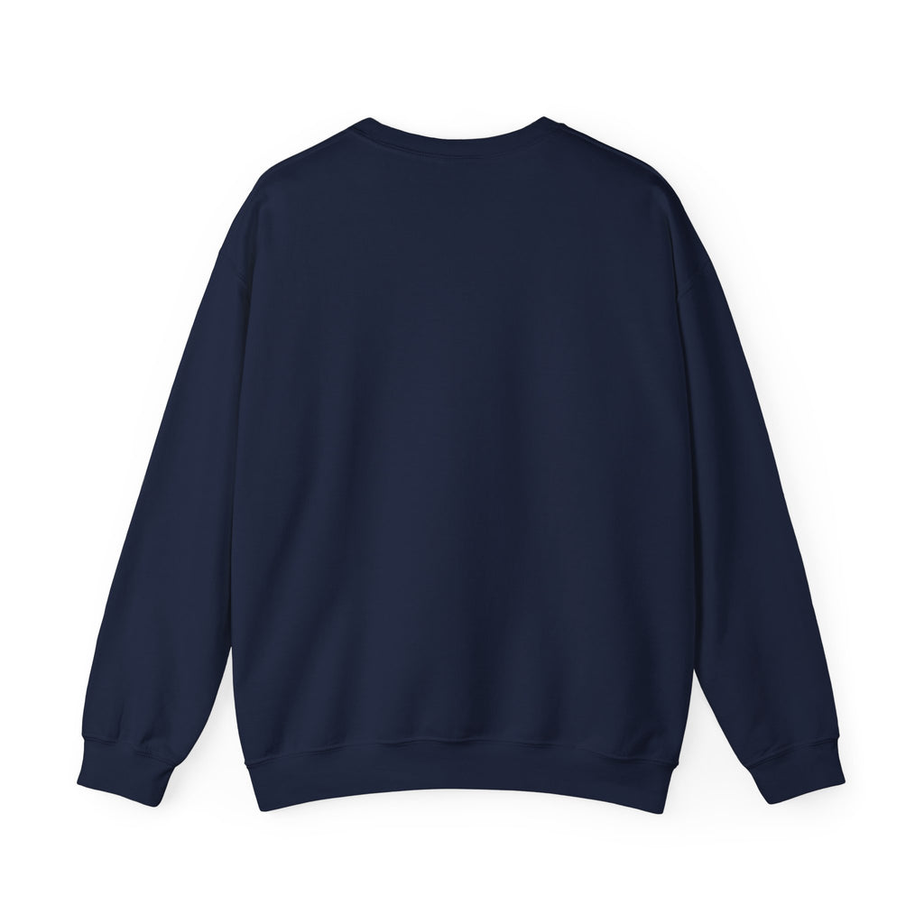 You’ve Got This Crewneck Sweatshirt | messy script design, hand lettering shirt