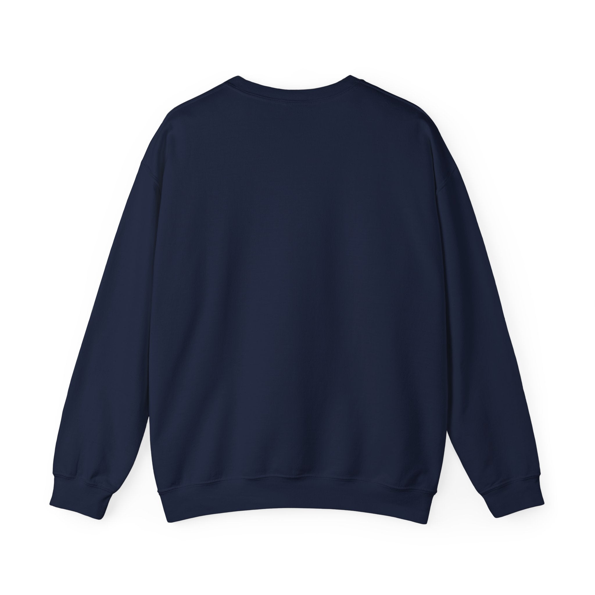 You’ve Got This Crewneck Sweatshirt | messy script design, hand lettering shirt