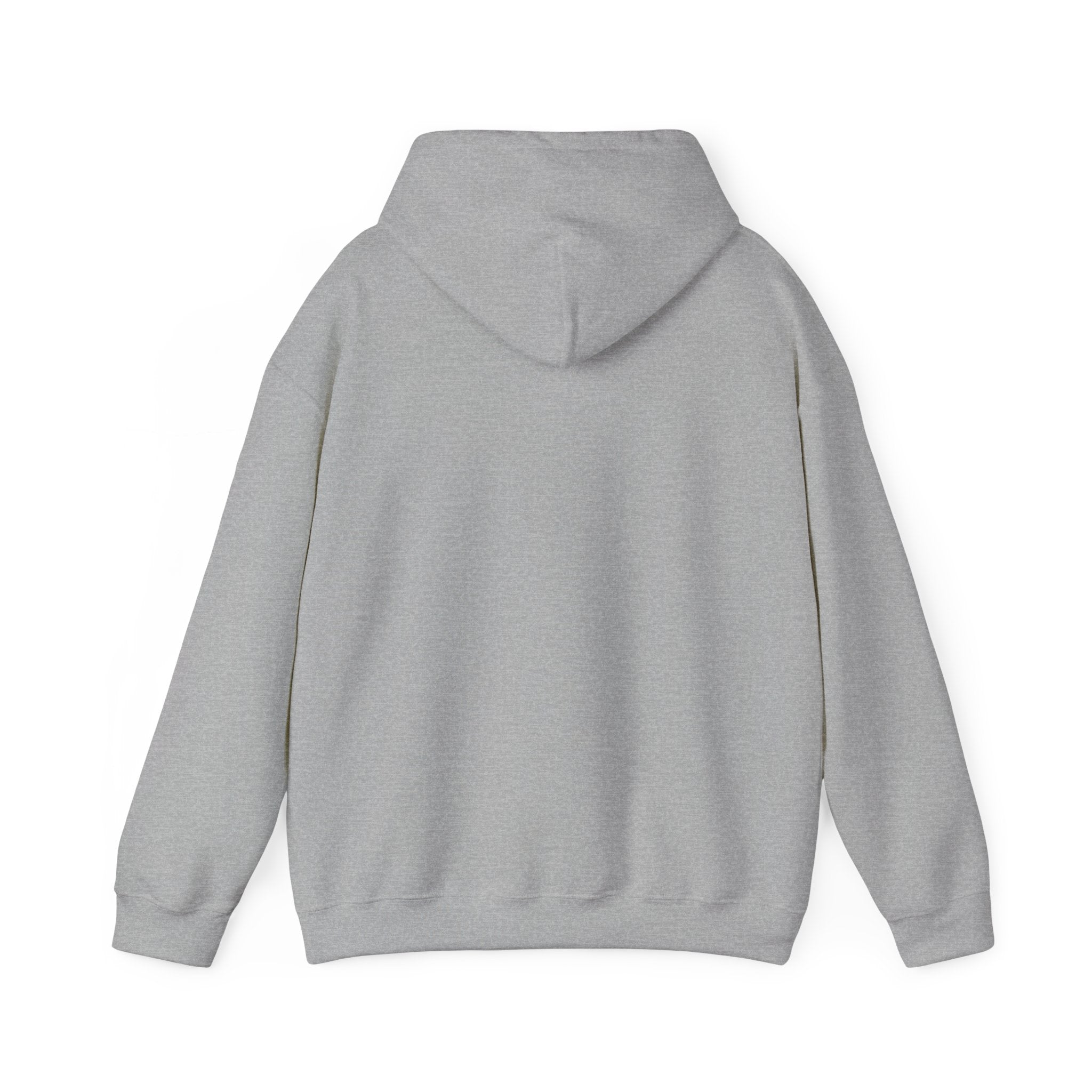 You’ve Got This hoodie | messy script design, hand lettering sweatshirt