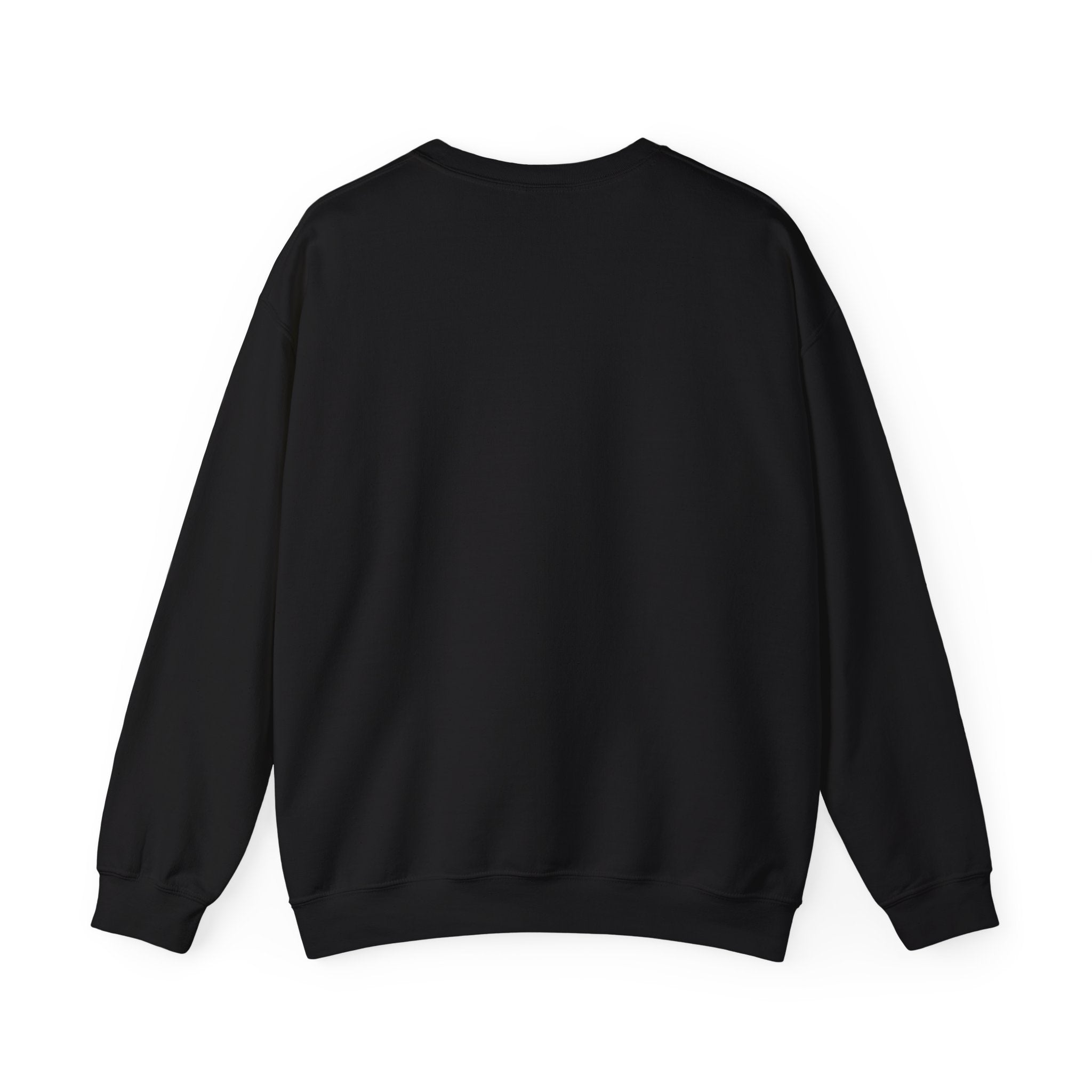 You’ve Got This Crewneck Sweatshirt | messy script design, hand lettering shirt
