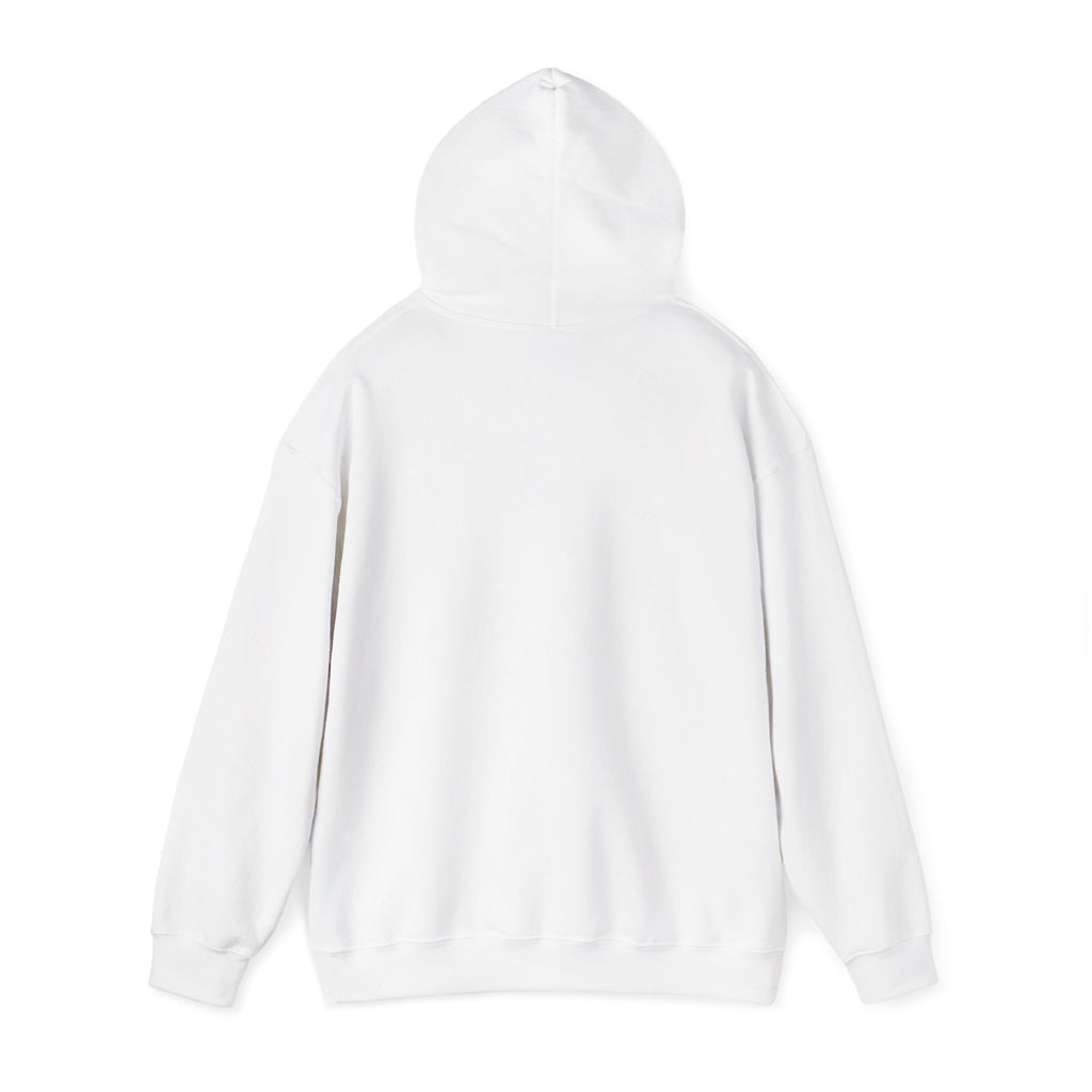 You’ve Got This hoodie | messy script design, hand lettering sweatshirt