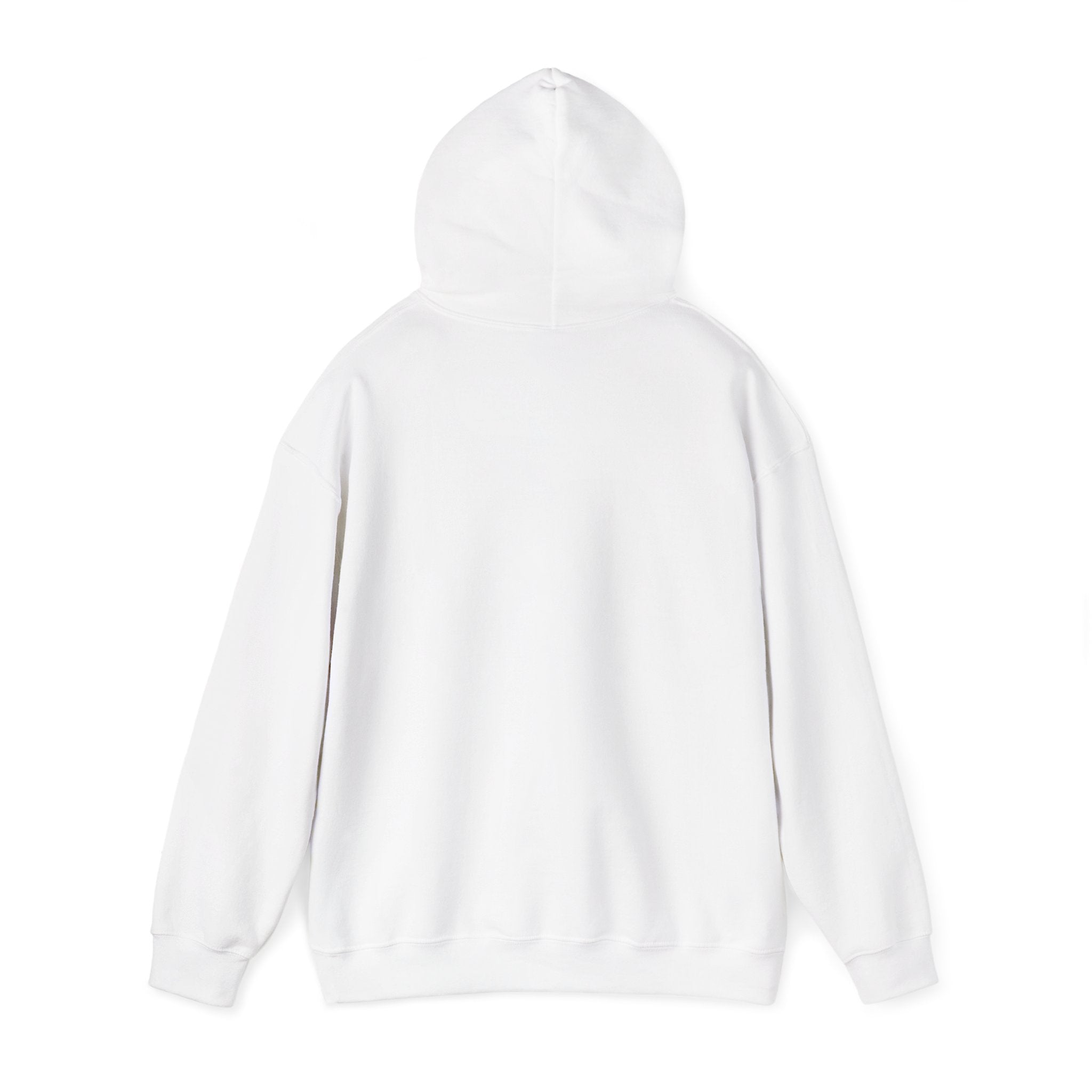 You’ve Got This hoodie | messy script design, hand lettering sweatshirt