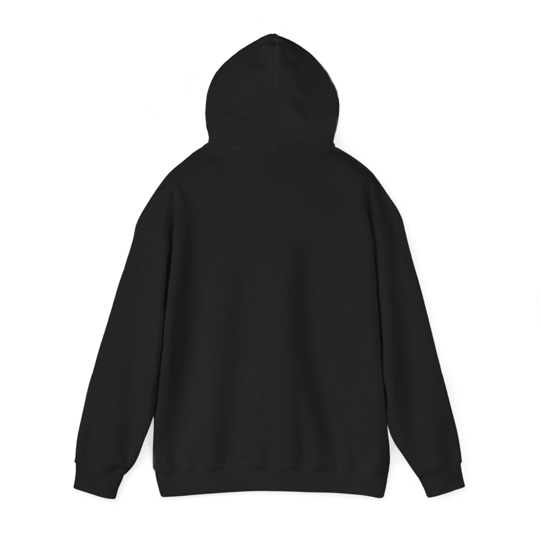 You’ve Got This hoodie | messy script design, hand lettering sweatshirt